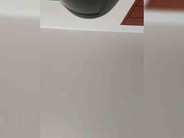 _LittleSammy webcam