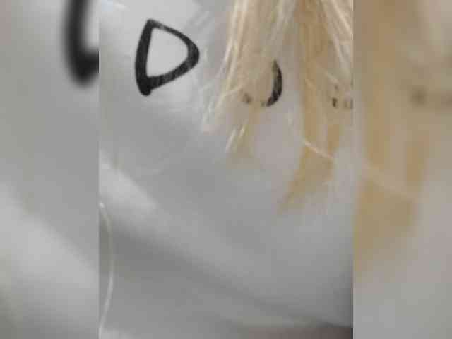 _LittleSammy webcam