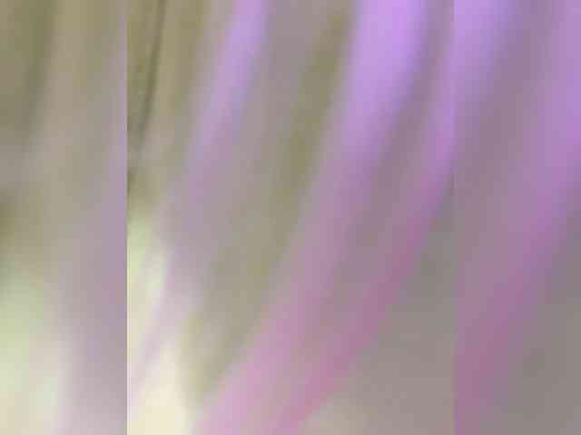 _LittleSammy