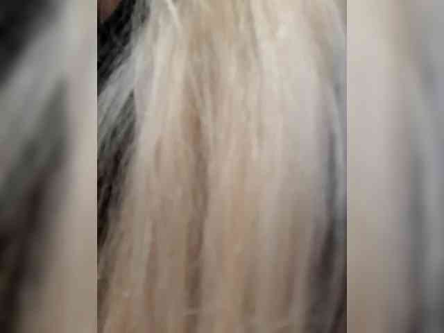 _LittleSammy webcam