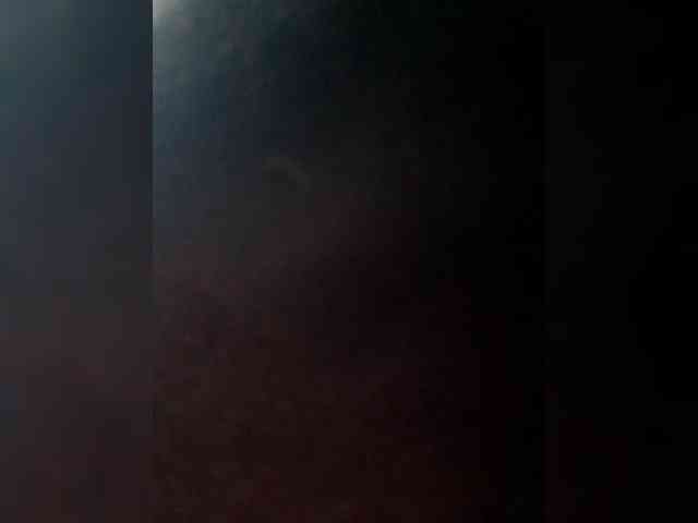 _LittleSammy webcam