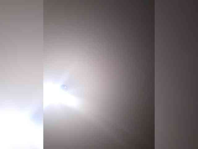 _LittleSammy webcam