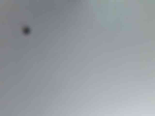_LittleSammy