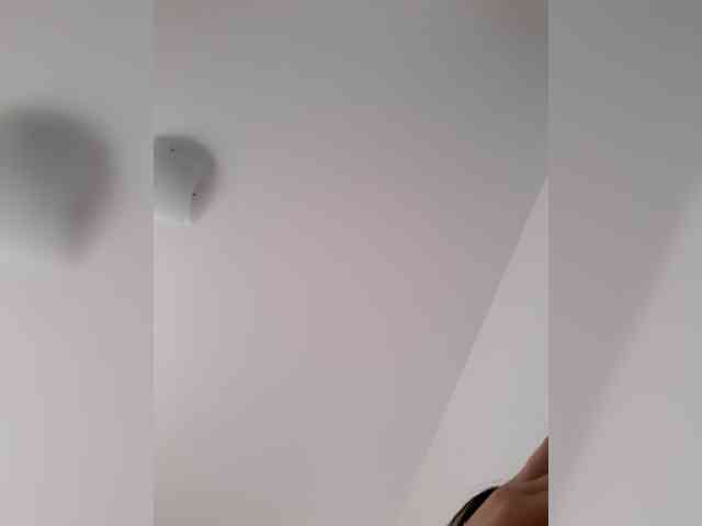 _LittleSammy