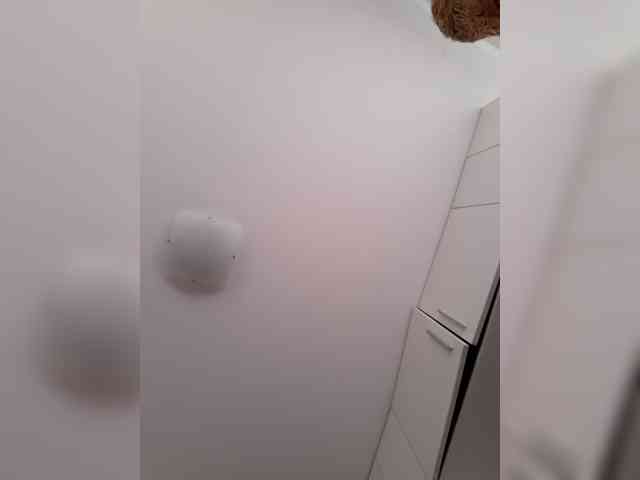 _LittleSammy webcam