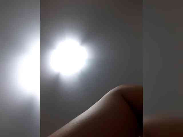 _LittleSammy