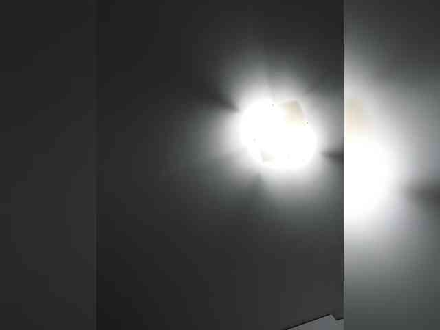 _LittleSammy webcam