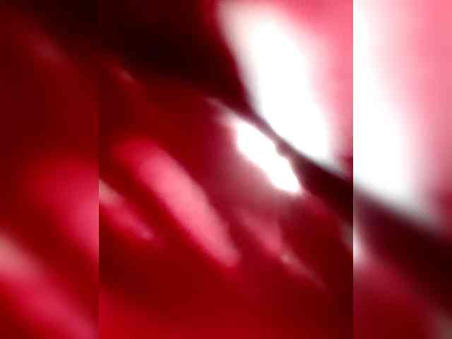 _LittleSammy webcam