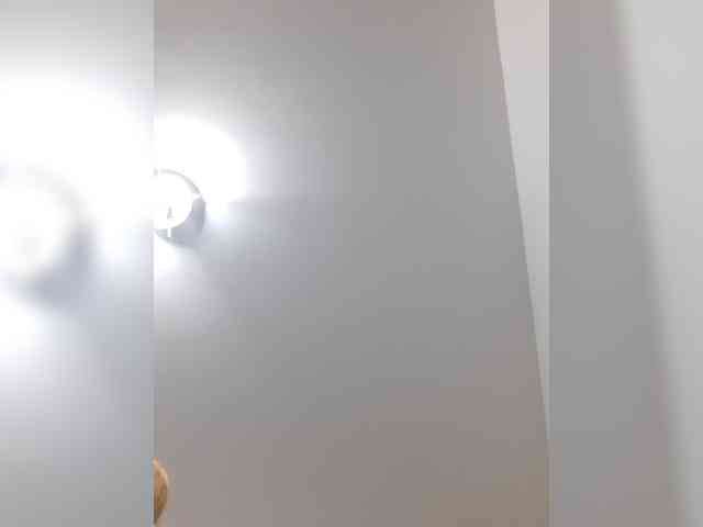 _LittleSammy webcam