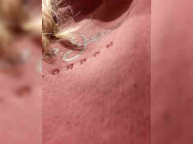 _LittleSammy webcam
