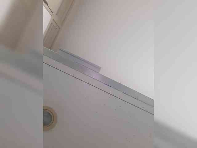 _LittleSammy