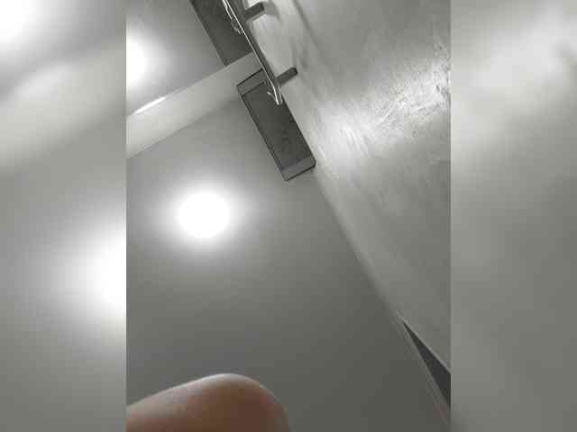 _LittleSammy webcam