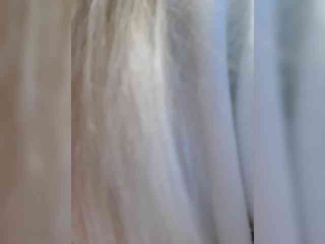 _LittleSammy webcam