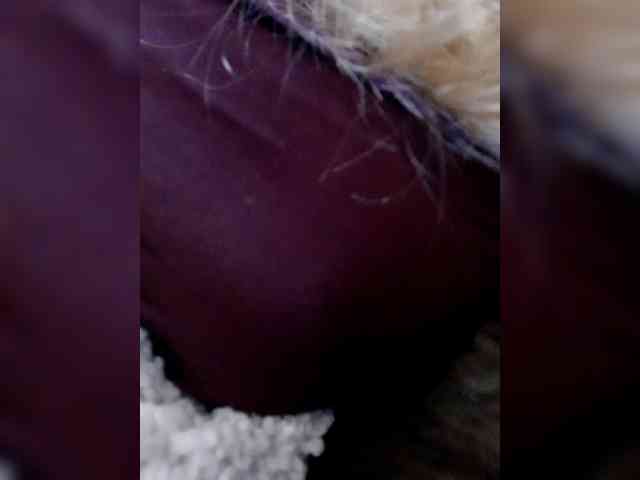 _LittleSammy