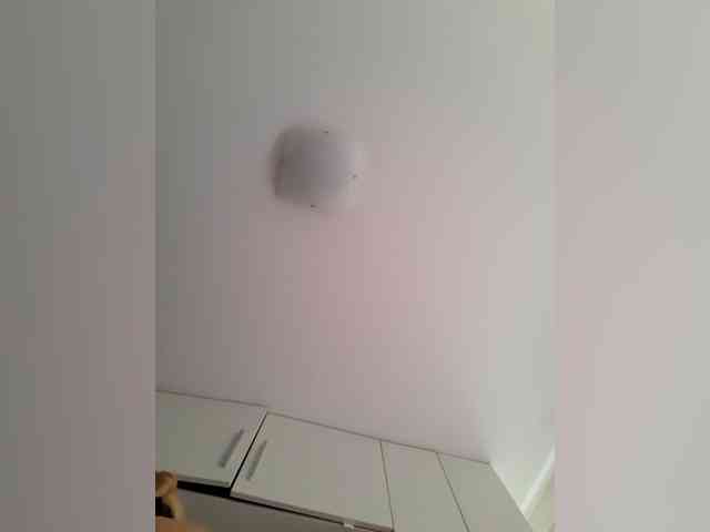 _LittleSammy webcam