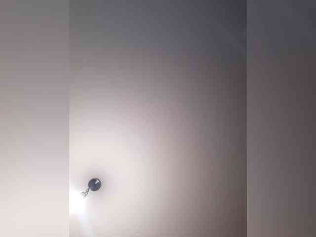 _LittleSammy webcam