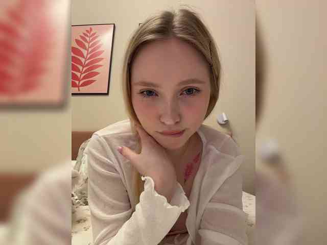 Nimpu webcam