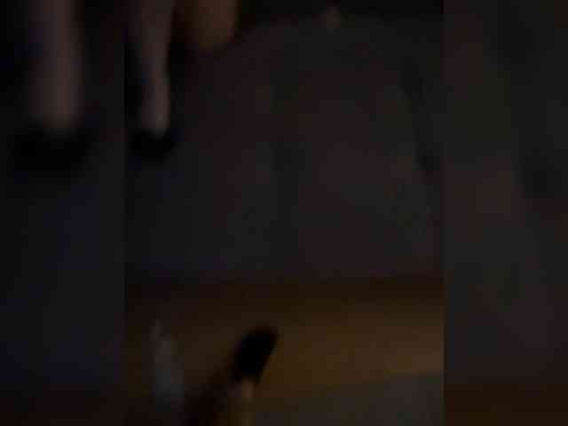 Lord8425 webcam