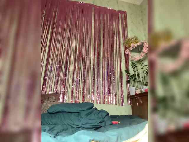 Sophialanguage webcam