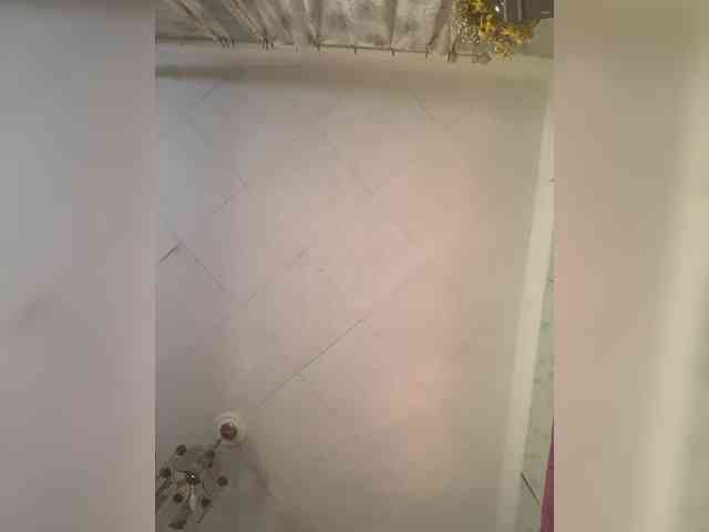 Sophialanguage webcam