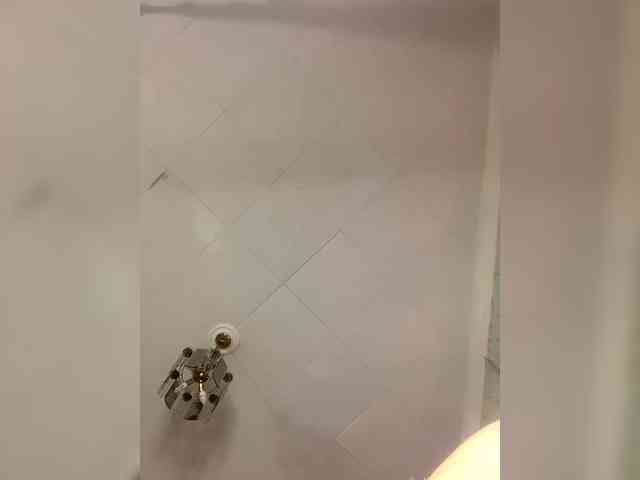 Sophialanguage webcam