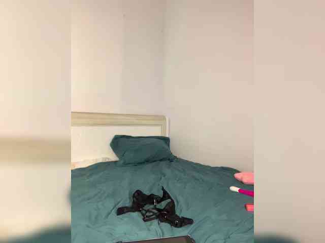 Sophialanguage webcam