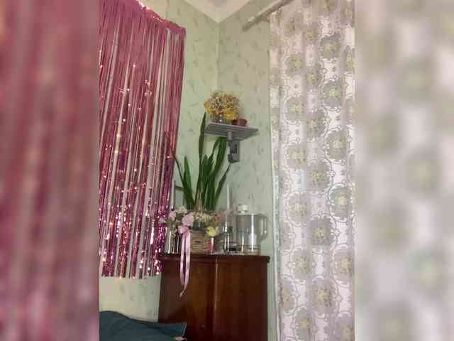 Sophialanguage webcam