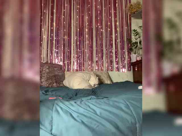 Sophialanguage webcam
