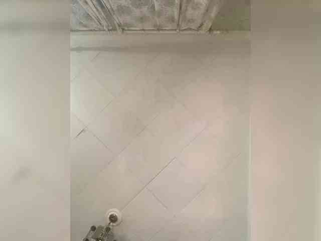 Sophialanguage webcam