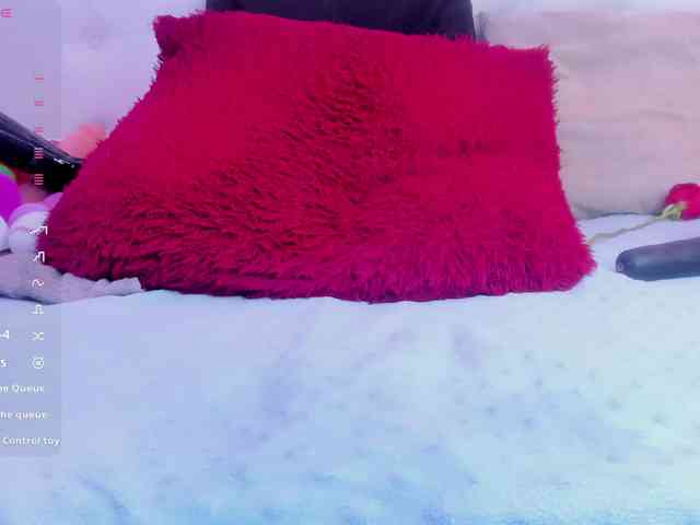 Willow-Wright webcam