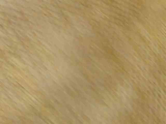 Milf-loven webcam