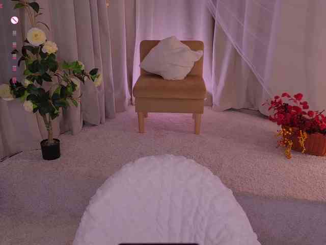 Trixiie webcam