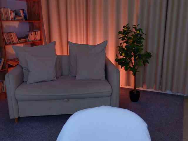 Trixiie webcam