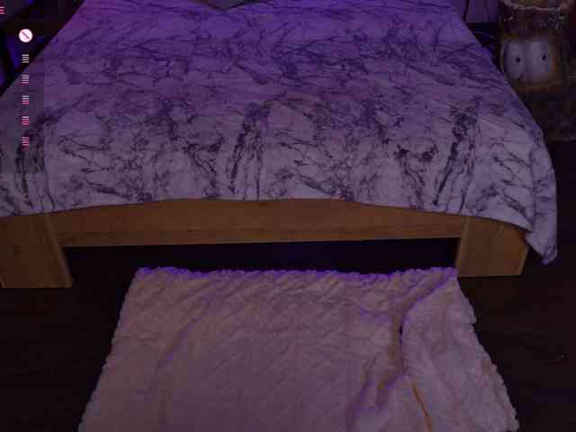 Trixiie webcam