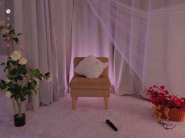 Trixiie webcam