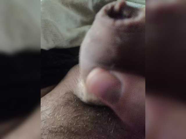 Lapys