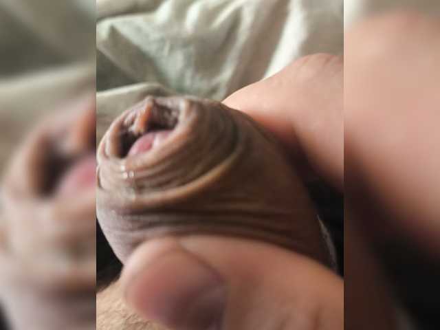 Lapys