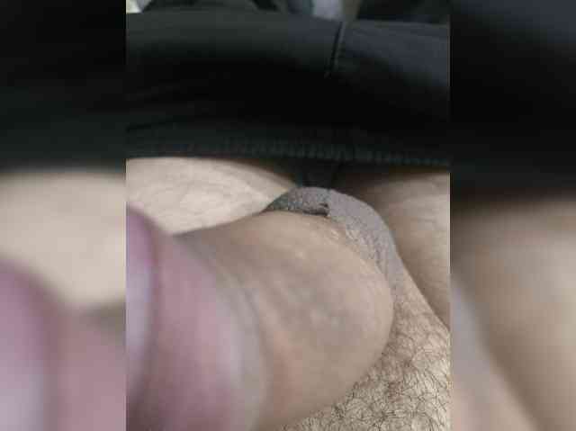 Lapys