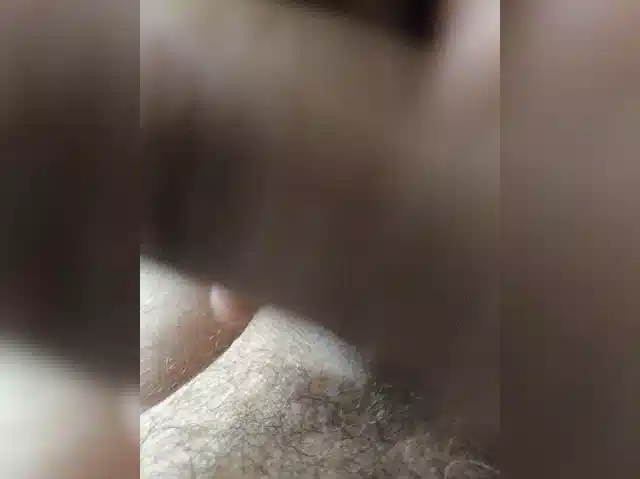 Lapys