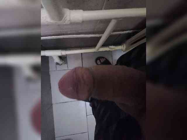 Lapys
