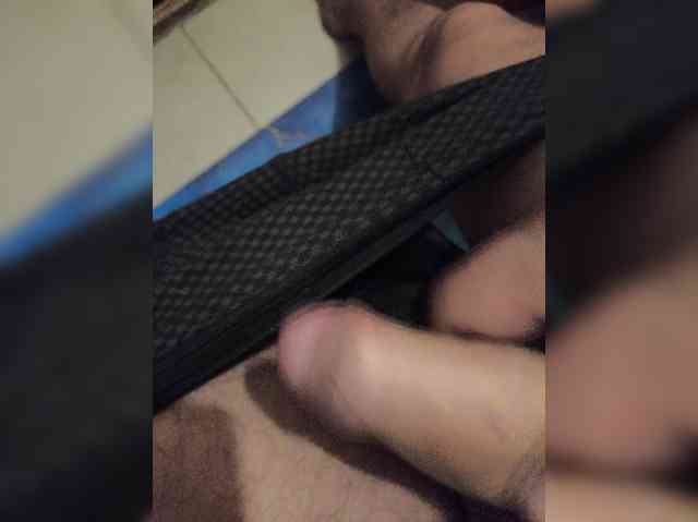 Lapys