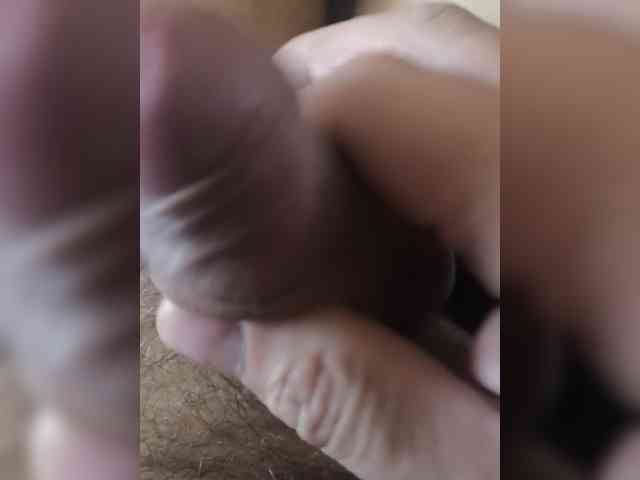 Lapys