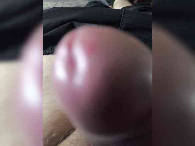 Lapys