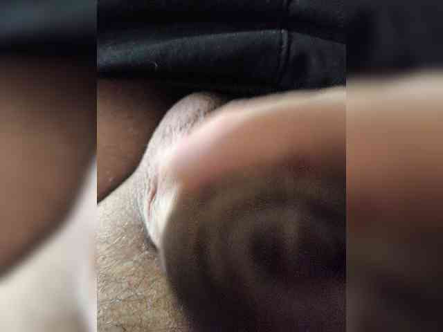 Lapys