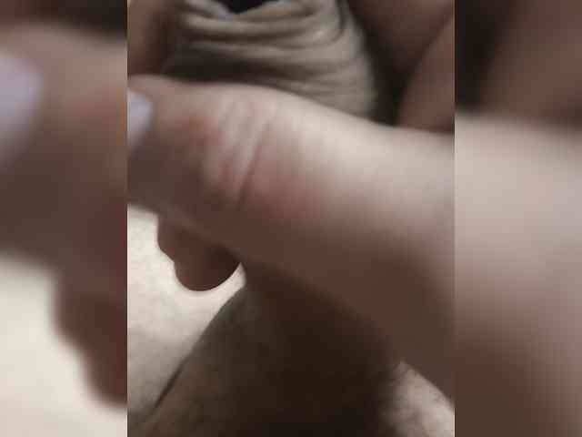Lapys