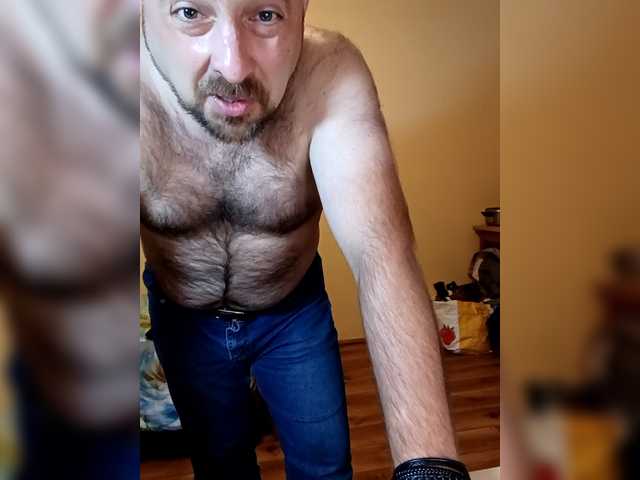 werewolfalfa online