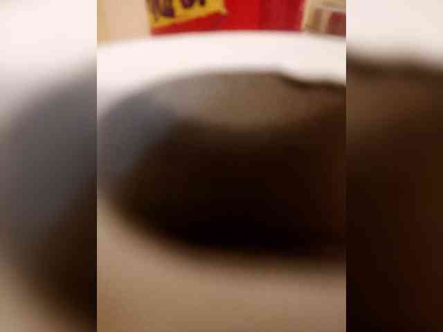 WikiBitch webcam