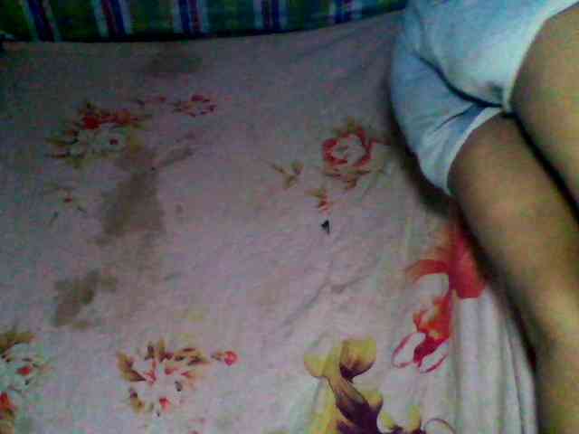 Allycha1 webcam