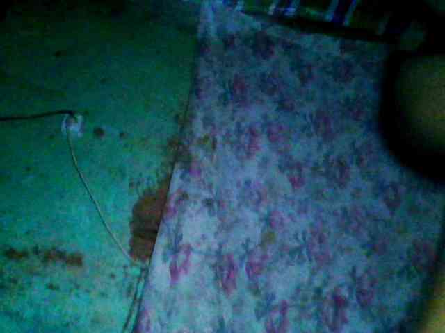 Allycha1 webcam