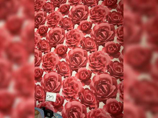 KotiMrrr's BongaCams show and profile